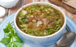 Суп из опят – 7 рецептов, как приготовить грибной суп