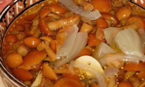 A step-by-step recipe on how to salt honey mushrooms in various ways in jars