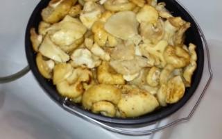 Hot salted milk mushrooms: 6 recipes