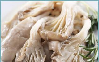 Eingelegte Austernpilze für den Winter: schnell und einfach zubereiten