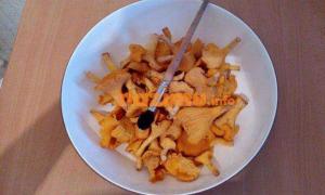 Ricetta di cucina con foto passo passo di finferli salati per l'inverno utilizzando il metodo caldo