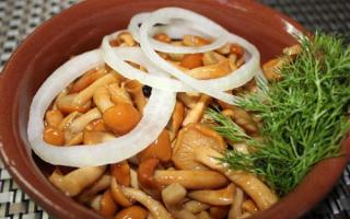 Pickled honey mushrooms for the winter - recipes