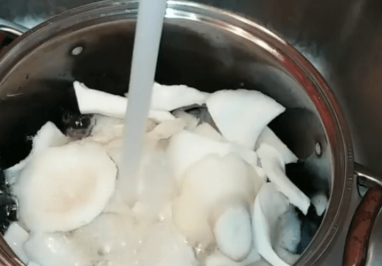 Грибы в горячем подсоленном молоке: 6 рецептов