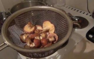 How to quickly clean boletus