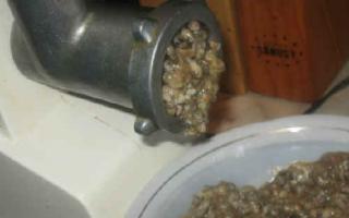 Kavijar od gljiva za zimu: recepti