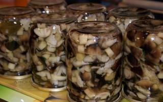 Marinated row mushrooms