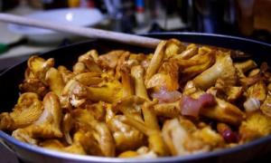 How to freeze fresh chanterelles for the winter: freezing methods