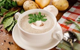 حساء الفطر الكريمي - 10 وصفات لذيذة
