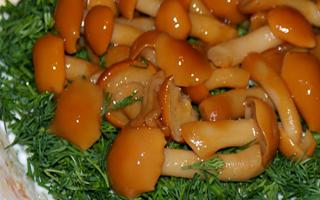 Medové houby nakládané na zimu - chutné recepty krok za krokem
