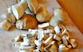 Подборка вкусных рецептов маринования белых грибов на зиму