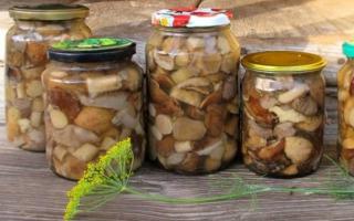 یک دستور العمل ساده برای تهیه قارچ ردیفی برای زمستان در خانه