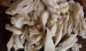 Fried oyster mushrooms with onions and cream