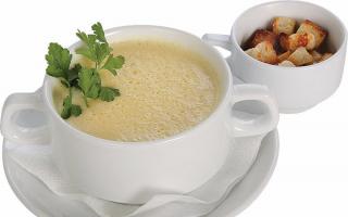 سوپ پنیر شامپینیون: فواید سوپ و طرز تهیه
