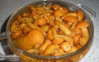 ​How to salt boletus: cold and hot salting method