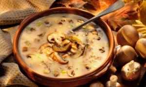 Σούπα από πουρέ Champignon: καλύτερες συνταγές