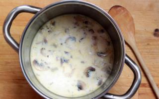 Memasak sup cendawan dari champignons, resipi untuk hidangan pertama