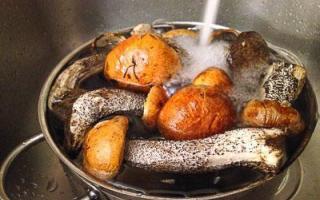 How to pickle boletus in a cold way