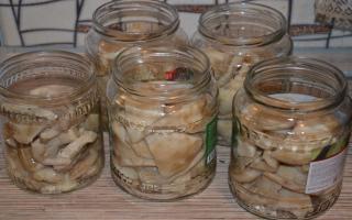 Як маринувати грузді: рецепт з фото маринованих грибів та відео