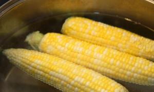 Як варити кукурудзу правильно: що ми не знали про царицю полів