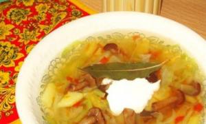 Fastelavnskålsuppe med sopp: enkle oppskrifter Soppkålsuppe