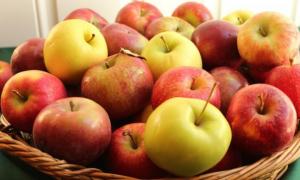 Drvo jabuke, lekcija za upoznavanje djece predškolske dobi s prirodom