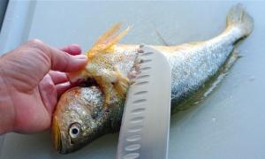 Näpunäiteid, mis aitavad kiiresti puhastada kala