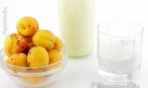 Crème glacée d'abricot dans les conditions de la maison: recette avec photos