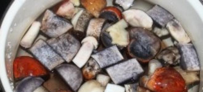 Soup: made from fresh boletus