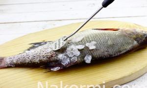 How to cut fish How to beautifully serve herring on the table