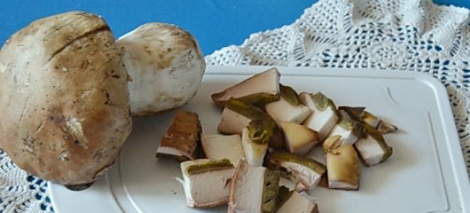 Mushrooms fried in sour cream recipes