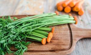Користь морквяного бадилля для організму