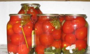 양동이, 통, 팬, 항아리에 간단하고 차가운 방법으로 토마토를 소금에 절이는 방법은 무엇입니까?