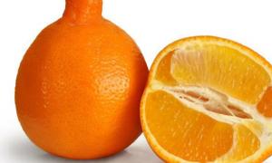 Citrus sylt recept