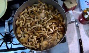 Smažené houby s bramborem