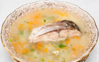 Ασημένιο ψαρόσουπα κυπρίνου Πώς να μαγειρέψετε ασημένια σούπα ψαριού κυπρίνου