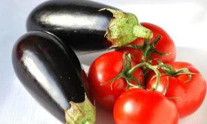 Oppskrifter for å tilberede kylling med aubergine og tomater i ovnen Oppskrift på aubergine med kyllingfiletlag