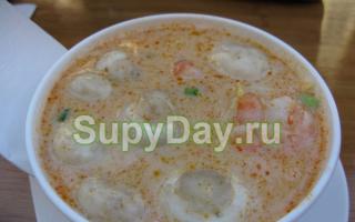 Supa od šampinjona od gljiva sa topljenim sirom, recept sa fotografijom