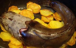 Fried catfish in a frying pan
