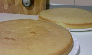 Biskvit torta sa suvim šljivama i orasima: recept, karakteristike kuhanja i recenzije Torta sa suvim šljivama i orasima: kulinarske recenzije