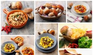포르치니 버섯: 다양한 방법으로 요리 포르치니 버섯으로 준비할 수 있는 것