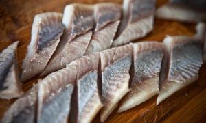 How to cook herring oil at home: a recipe with a photo