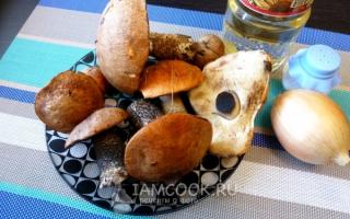 boletus와 boletus 버섯을 요리하는 방법?