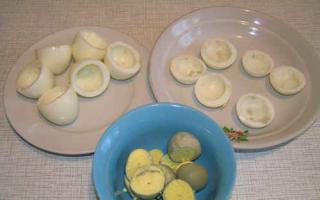 Borovichki – egg mushrooms (stuffed with cod liver)