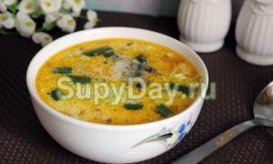 Canned fish soup saury