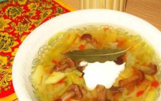 버섯을 곁들인 사순절 양배추 수프 : 쉬운 요리법 버섯 양배추 수프