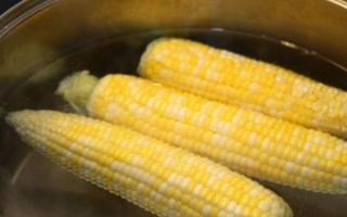 How to cook corn correctly: what we didn’t know about the queen of the fields