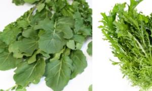 Energy value of arugula